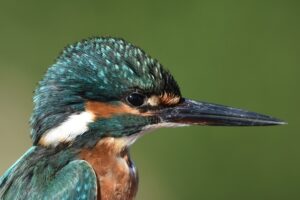 Fotografies: ENRIC PÀMIES