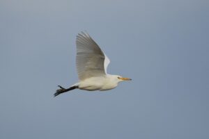 Fotografies: ENRIC PÀMIES