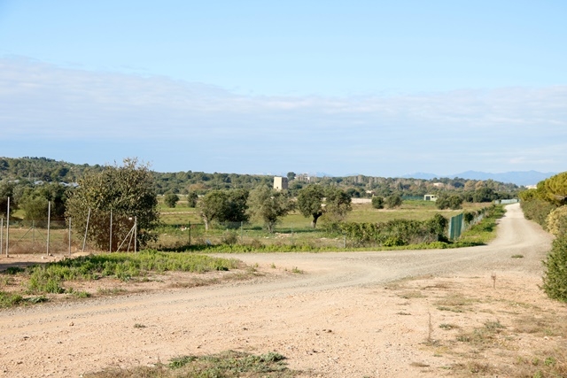 ARNAU MARTÍNEZ / ACN