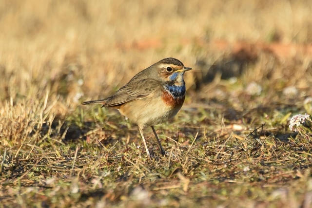 Fotografies: ENRIC PÀMIES