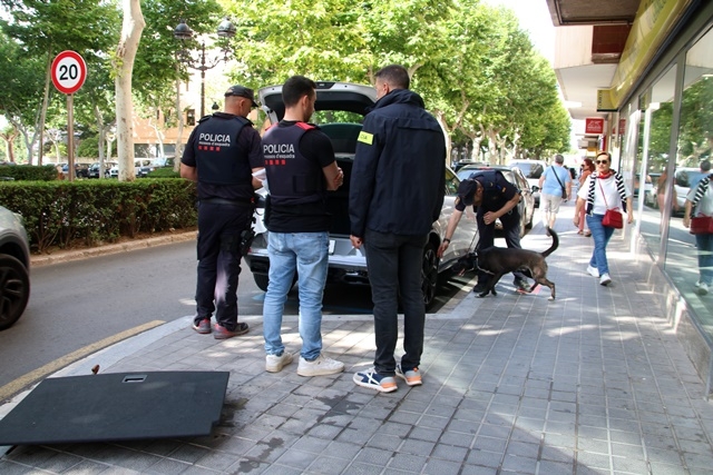 MAR ROVIRA - ARXIU / ACN