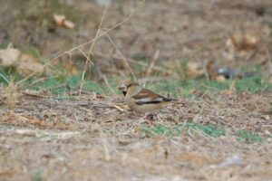 Fotogrfies: ENRIC PÀMIES