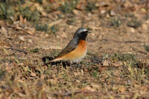 Fotografies: ENRIC PÀMIES