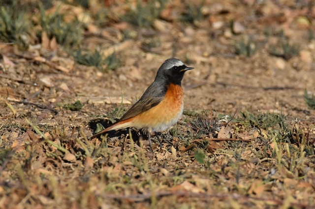 Fotografies: ENRIC PÀMIES
