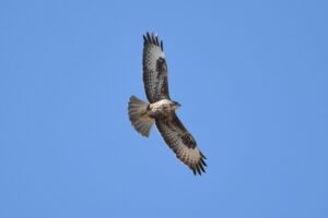 Fotografies: ENRIC PÀMIES