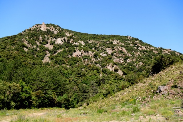 MAR ROVIRA / ARXIU - ACN