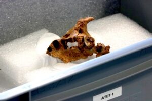 ARNAU MARTÍNEZ / ACN