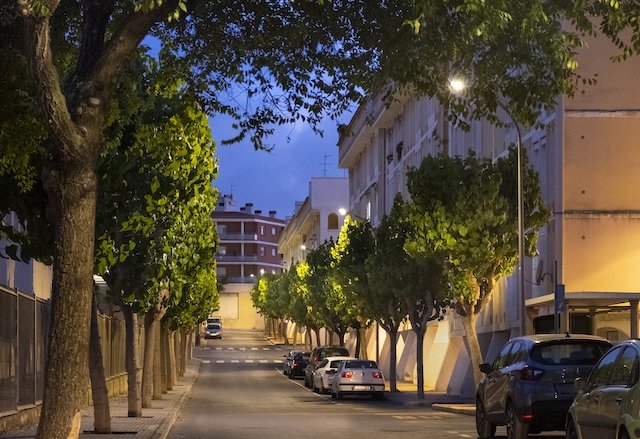 AJUNTAMENT DE CONSTANTÍ