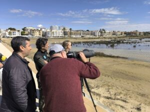 AJUNTAMENT DEL VENDRELL