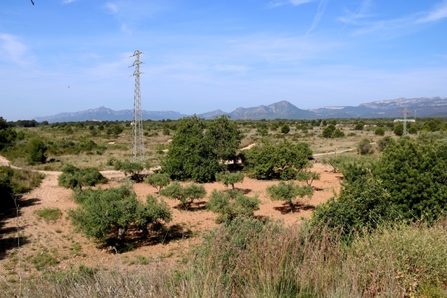 MAR ROVIRA / ARXIU - ACN