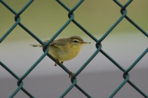 Fotografies: ENRIC PÀMIES