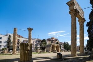 JOAN CARLES BORRACHERO