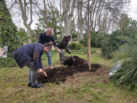 Oliver Klein i Francisco Javier Castillo plantant