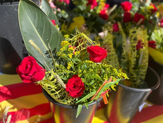 Roses a la venda primer pla