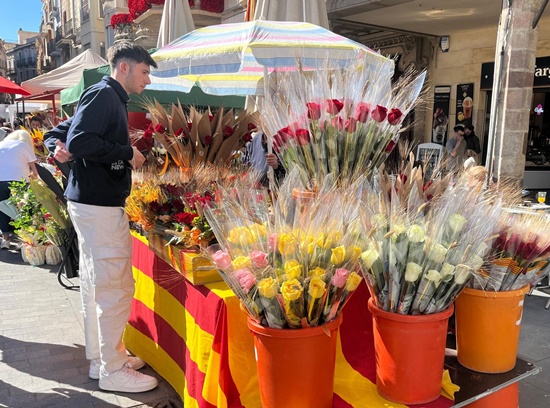 Sant Jordi Reus roses
