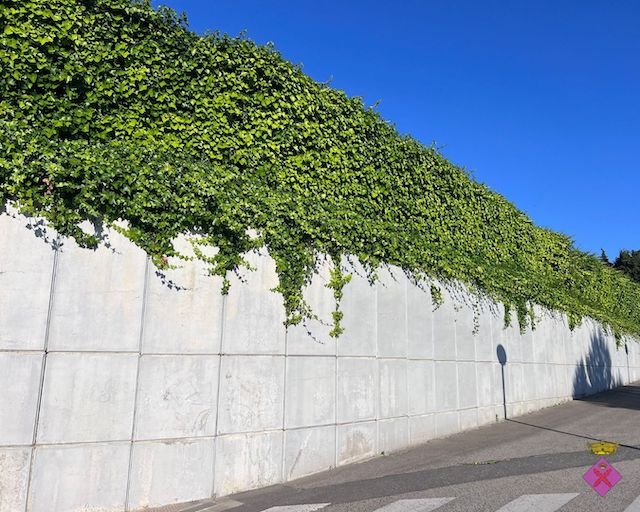 AJUNTAMENT DE CREIXELL