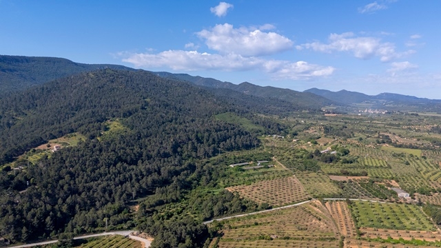 AJUNTAMENT DE L'ESPLUGA DE FRANCOLÍ