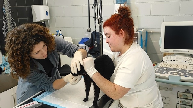 AJUNTAMENT DE CALAFELL