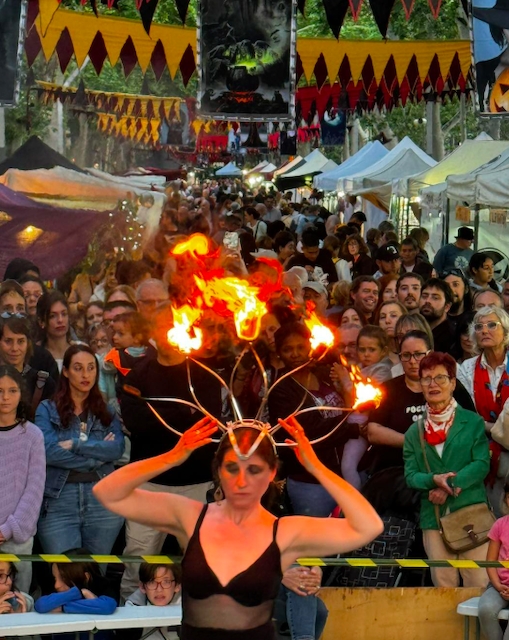 ASSOCIACIÓ REUS MEDIEVAL