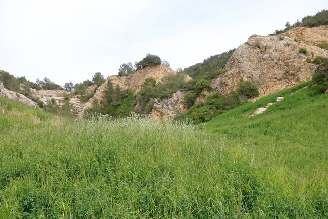 ARNAU MARTÍNEZ / ACN