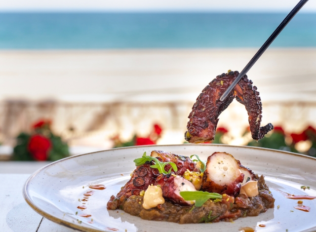 MONT-ROIG I MIAMI TURISME