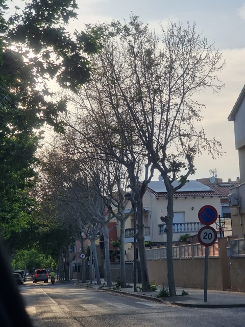 AJUNTAMENT DE L'ARBOÇ