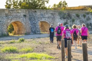 AJUNTAMENT DE CONSTANTÍ