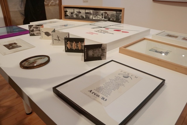 ARIADNA ESCODA / ACN