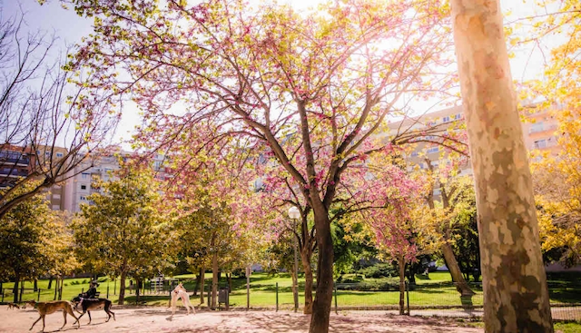 AJUNTAMENT DE TARRAGONA