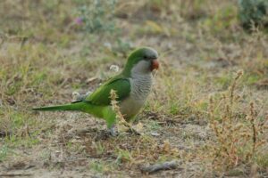 Fotografies: ENRIC PÀMIES