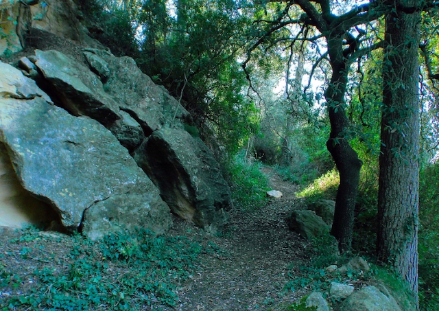 AJUNTAMENT DE TARRAGONA