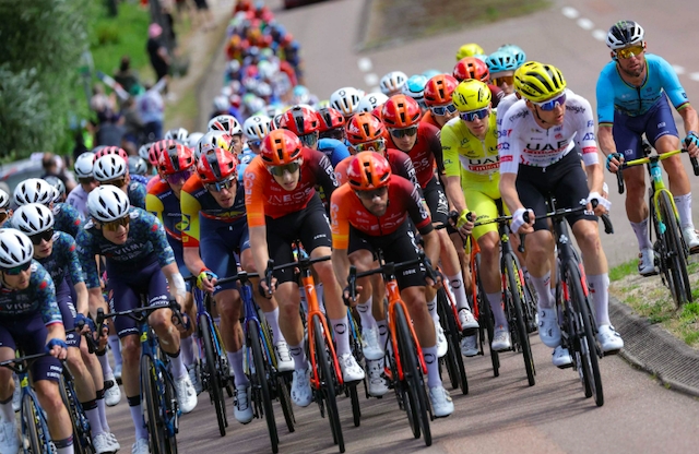 AJUNTAMENT DE CALAFELL