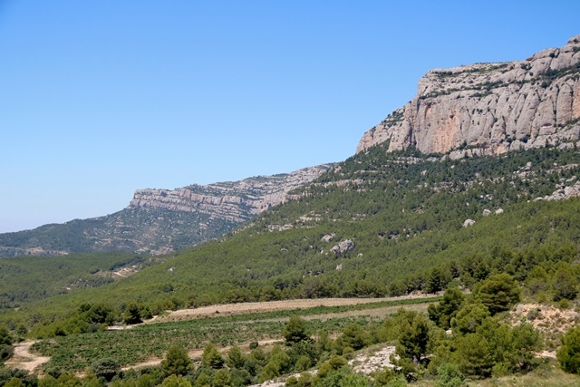 ARNAU MARTÍNEZ / ACN