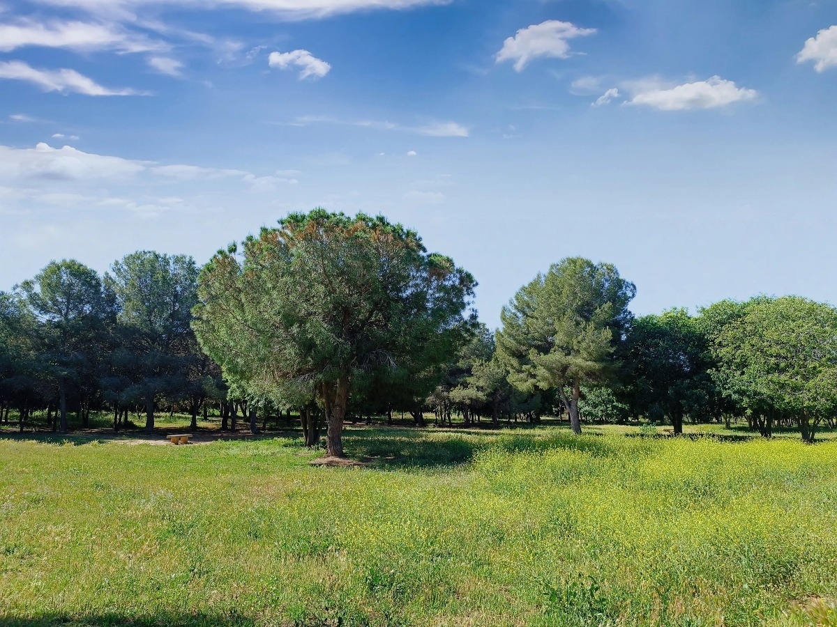 AJUNTAMENT DE TARRAGONA