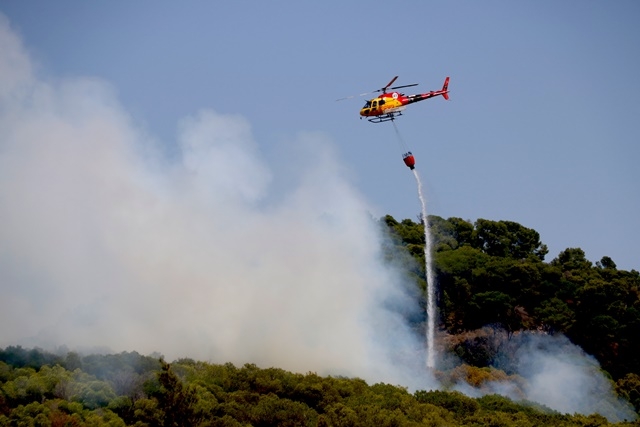 ARNAU MARTÍNEZ / ACN