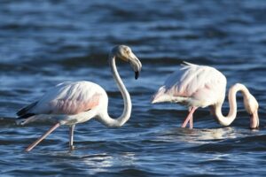 Fotografies: ENRIC PÀMIES