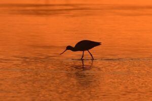 Fotografies: ENRIC PÀMIES