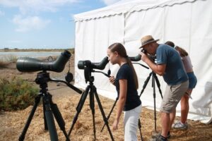 ARXIU / BIRDING CATALUNYA