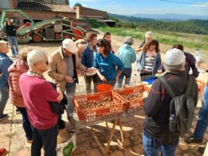 Departament d'Agricultura, Ramaderia, Pesca i Alimentació de la Generalitat de Catalunya