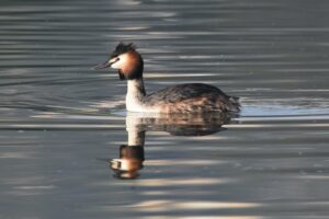 Fotografies: ENRIC PÀMIES