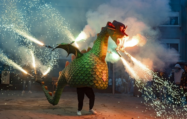 AJUNTAMENT DE CONSTANTÍ