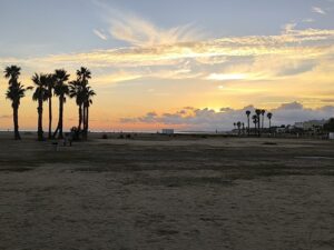 AJUNTAMENT DEL VENDRELL