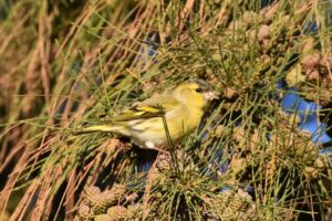 Fotografies: Enric Pàmies