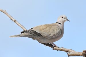 Fotografies: ENRIC PÀMIES