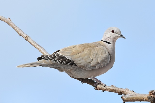 Fotografies: ENRIC PÀMIES