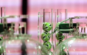 LOTERIES DE CATALUNYA