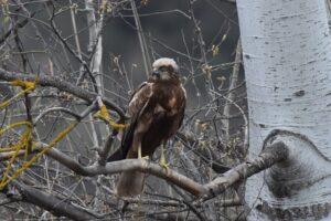 Fotografies: ENRIC PÀMIES