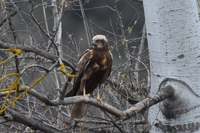 Fotografies: ENRIC PÀMIES