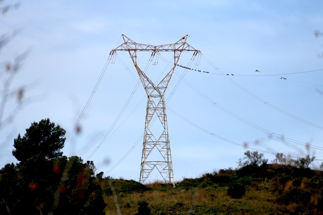 ARNAU MARTÍNEZ / ACN