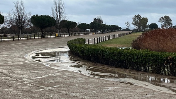 estat pista Torre Dolca